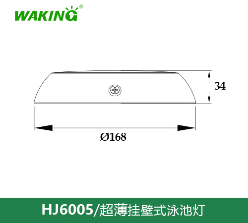 挂壁式泳池灯HJ6005